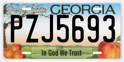 GA license plate PZJ5693