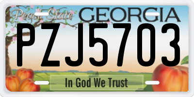 GA license plate PZJ5703