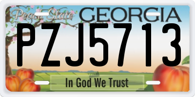 GA license plate PZJ5713