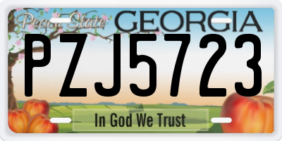 GA license plate PZJ5723