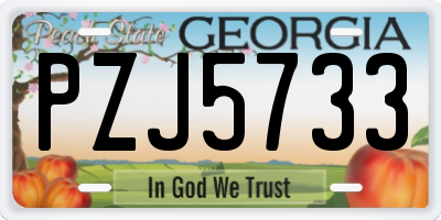 GA license plate PZJ5733