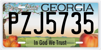 GA license plate PZJ5735