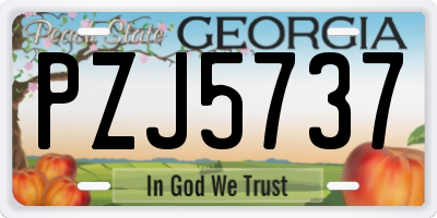GA license plate PZJ5737