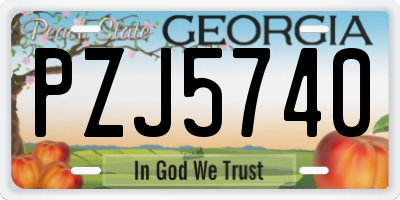 GA license plate PZJ5740