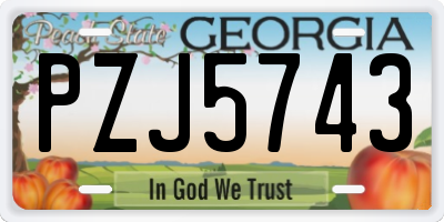 GA license plate PZJ5743