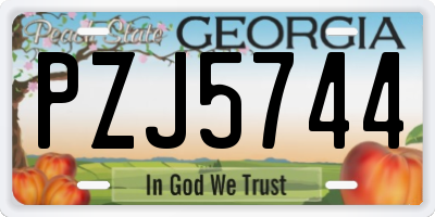GA license plate PZJ5744