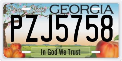 GA license plate PZJ5758