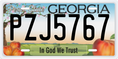 GA license plate PZJ5767