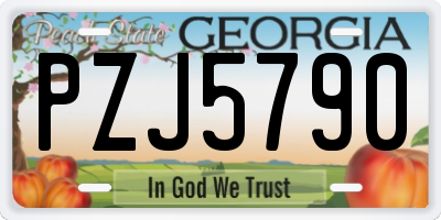 GA license plate PZJ5790