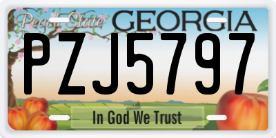 GA license plate PZJ5797