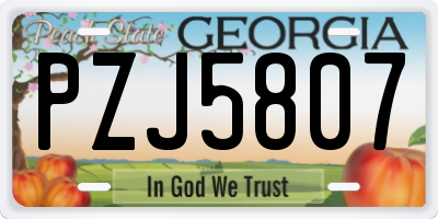 GA license plate PZJ5807