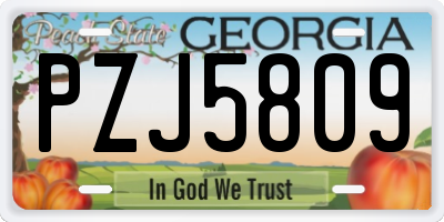 GA license plate PZJ5809