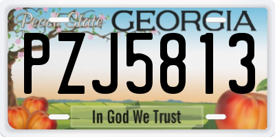 GA license plate PZJ5813