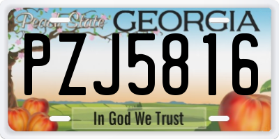 GA license plate PZJ5816