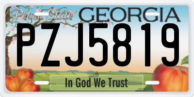 GA license plate PZJ5819