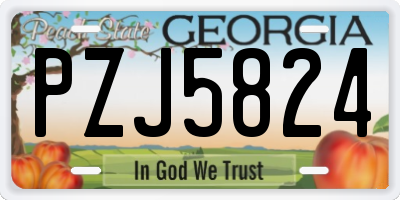 GA license plate PZJ5824