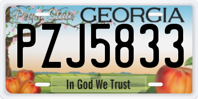 GA license plate PZJ5833
