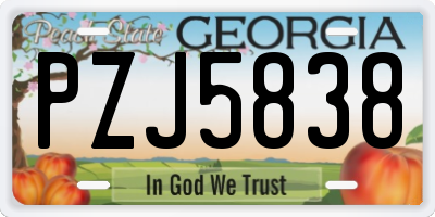 GA license plate PZJ5838