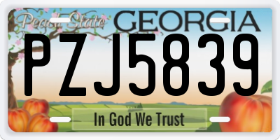 GA license plate PZJ5839