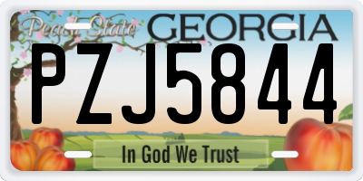 GA license plate PZJ5844