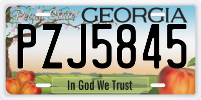 GA license plate PZJ5845
