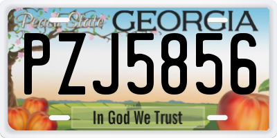 GA license plate PZJ5856