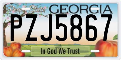 GA license plate PZJ5867