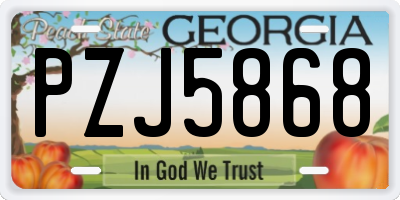 GA license plate PZJ5868
