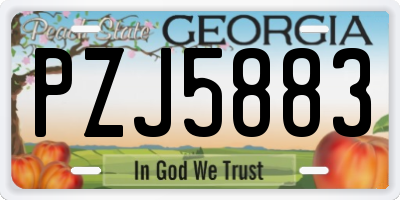 GA license plate PZJ5883