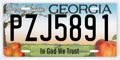 GA license plate PZJ5891