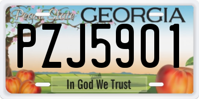 GA license plate PZJ5901