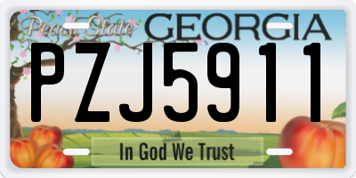 GA license plate PZJ5911