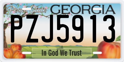GA license plate PZJ5913