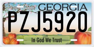 GA license plate PZJ5920