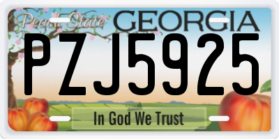 GA license plate PZJ5925