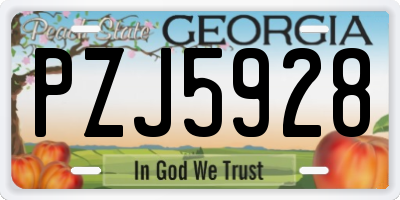 GA license plate PZJ5928