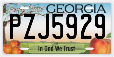 GA license plate PZJ5929