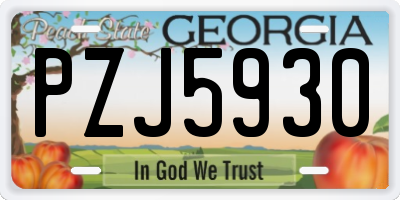 GA license plate PZJ5930