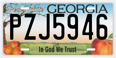 GA license plate PZJ5946