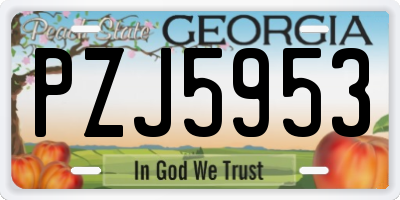 GA license plate PZJ5953