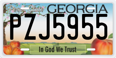 GA license plate PZJ5955