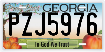 GA license plate PZJ5976