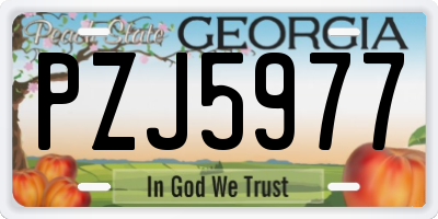 GA license plate PZJ5977