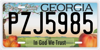 GA license plate PZJ5985