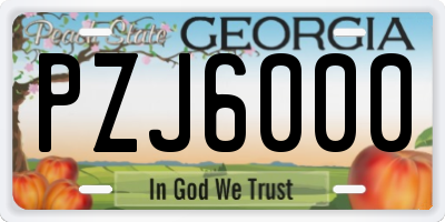 GA license plate PZJ6000