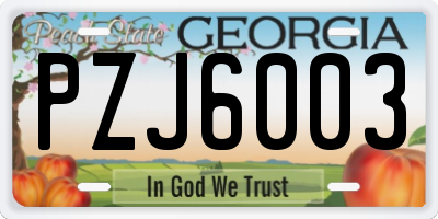 GA license plate PZJ6003