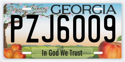 GA license plate PZJ6009