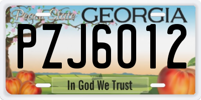 GA license plate PZJ6012