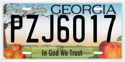 GA license plate PZJ6017