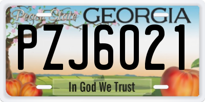 GA license plate PZJ6021